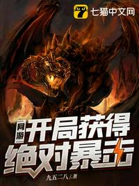 关心则乱的小说