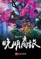 官场红尘笔记小说