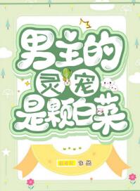 不卡一区二区三区四区