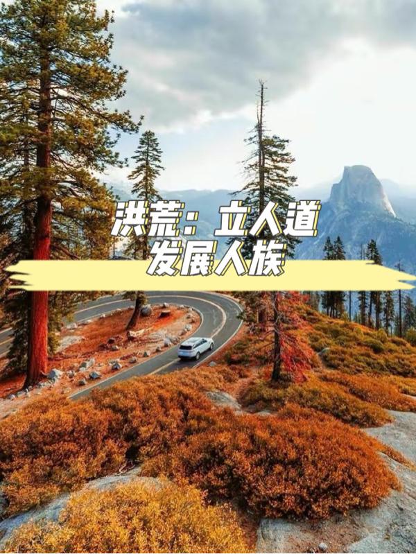 爱情公寓四免费观看全集西瓜影视