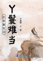 乱情公主