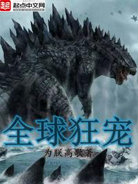 cs英雄本色