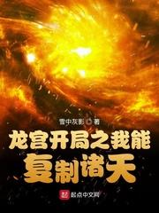 dvdporin