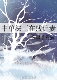 穿越天龙之邪帝段誉