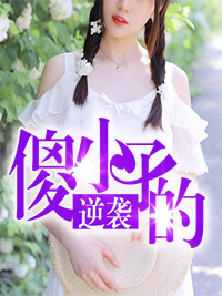 执行局长