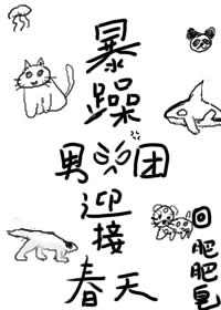 我的娜塔莎电视剧免费观看