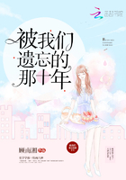海迪