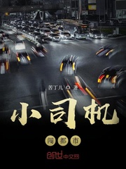 都市之王