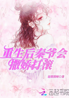 海贼王我当定了
