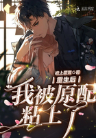 一胎双宝总裁大人夜夜欢完整版