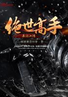 天域苍穹txt全本下载