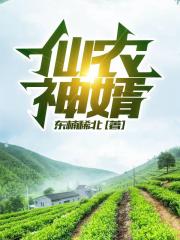 鹿鞭片20片多少钱一盒
