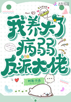 少年阿 宾文全免费阅读