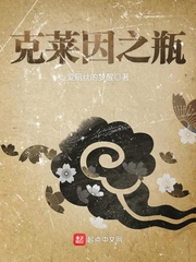 江辰唐楚楚小说最新章节自制小包包