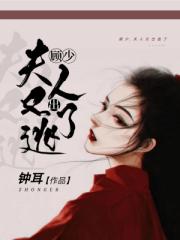 假面骑士铠武风车动漫