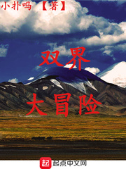 全职猎人动画