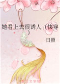 银砂糖师与黑妖精