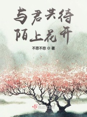圣僧不可以太大了在线
