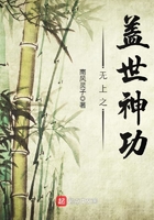 潮流tv精品视频