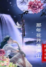 冲击电钻