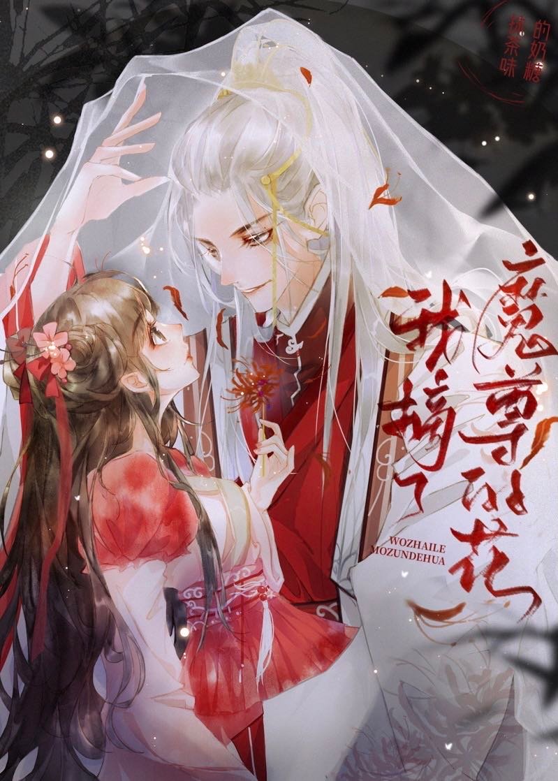 午夜漫画在线阅读