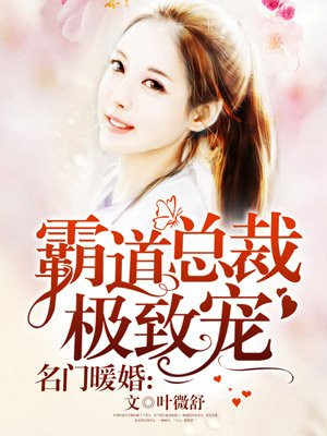 金瓶风月视频