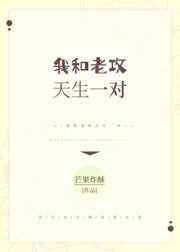 我只喜欢你小说