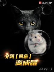 斗罗大陆之妖娆唐三受