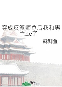 美丽的他日剧