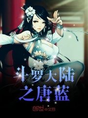 聚星平台