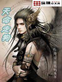 大片免费播放器下载