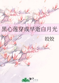 2024新金瓶