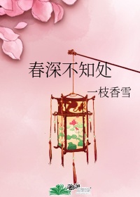 小五当官全集免费