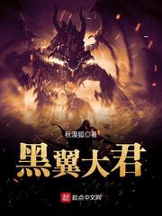 全网影视