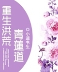 大宋海贼
