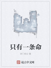 傅临川何清欢书包