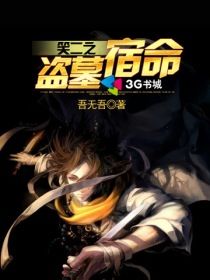 茄子视频你懂的