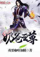 阿来尘埃落定