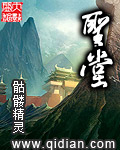 震动棒怎样用的