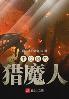 夏日狂情在线观看
