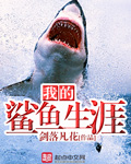 邻家英雄