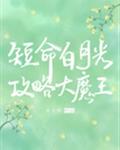 失恋33天下载