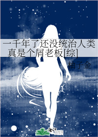 车上路上完滴滴