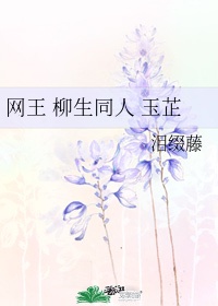 新搞怪女厨泰剧免费观看