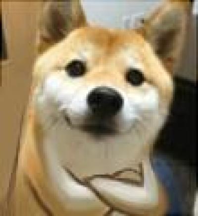 恐怖电影排行榜