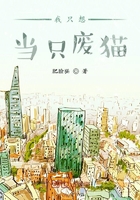 谍影重重6免费观看完整版电影
