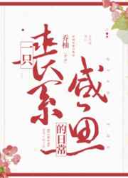 c了瑜伽老师一节课视频