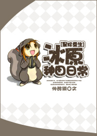 一线高清视频免费播放