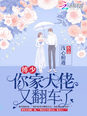 手写输入查汉字在线