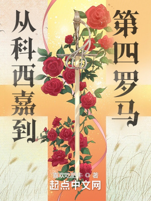 求一个A站